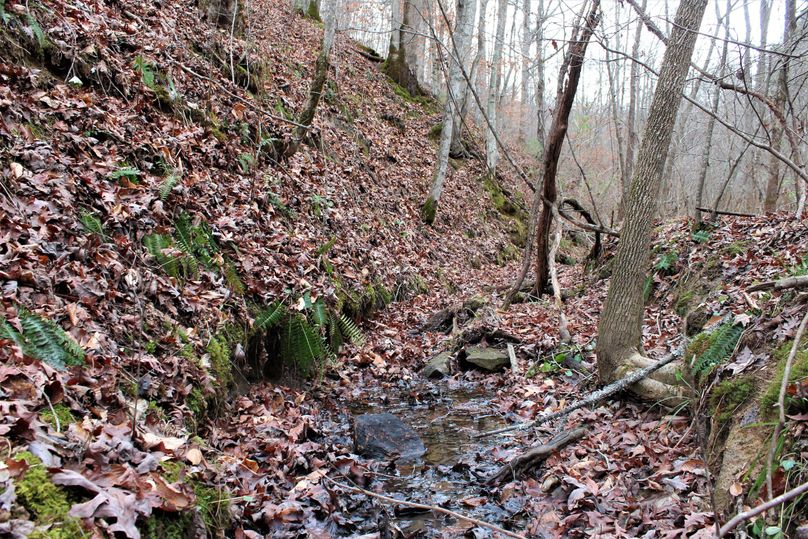 003 the stream flowing west down the valley 