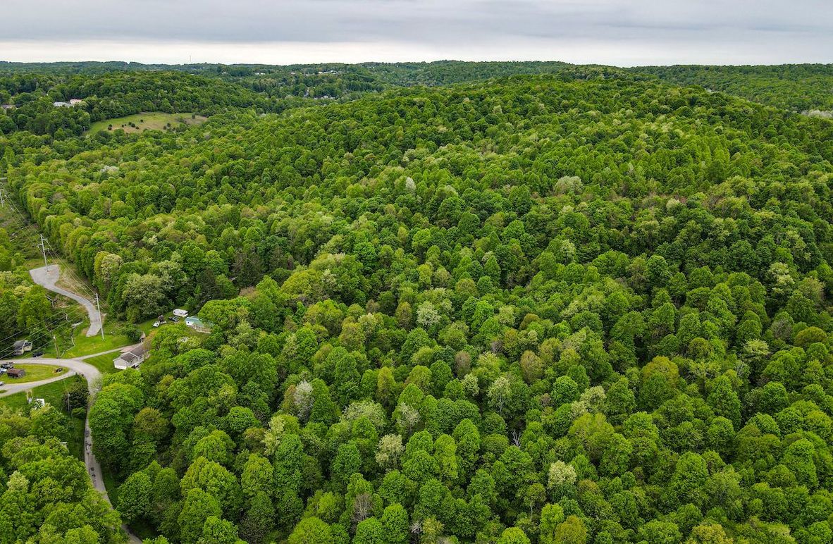 dji_fly_20240511_115308_91_1715442808025_photo