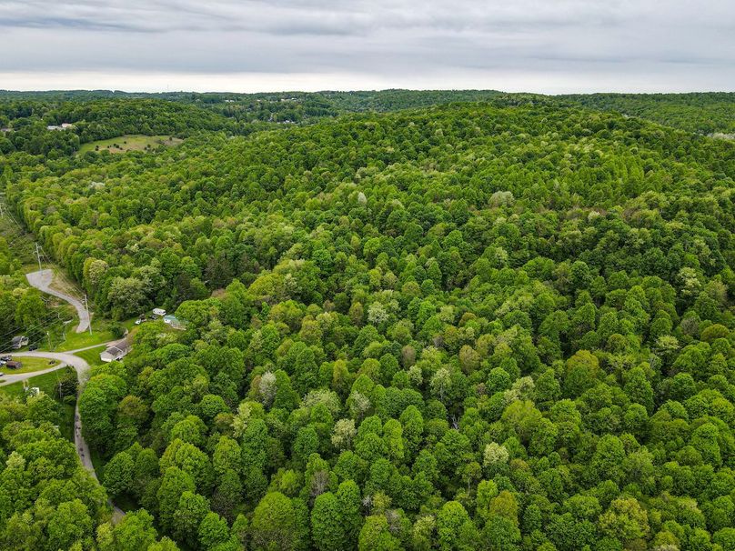 dji_fly_20240511_115308_91_1715442808025_photo