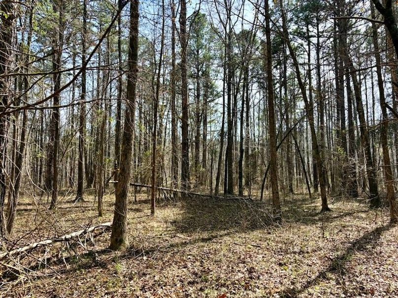 EB911371-496C-4DB5-9E8A-E4DBF114942E_1_105_c