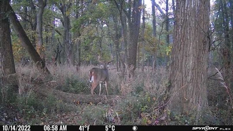 5058BE3A-7B29-4AFF-80A1-35FEAF722C10