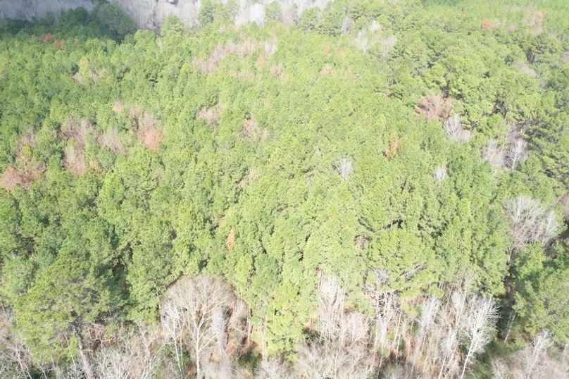 DJI_0173