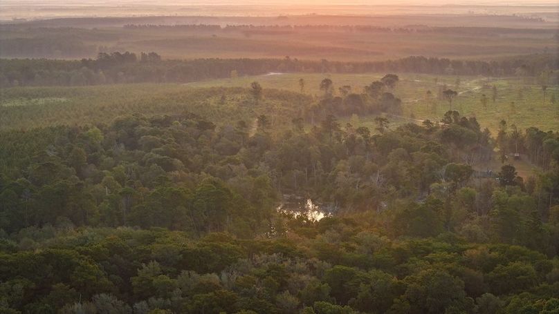 DJI_20250918070722_0026_D