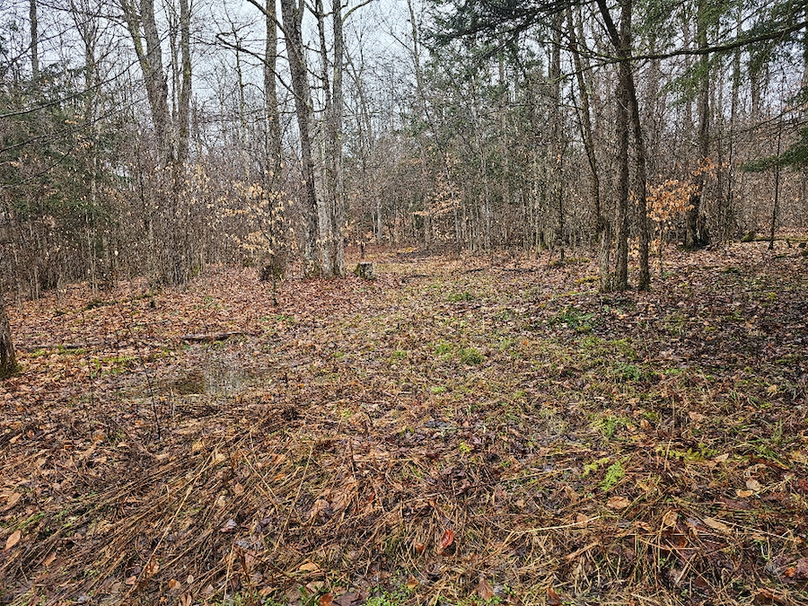 photo_2bf0916c-f294-46f5-b0ff-faf40e714c5e