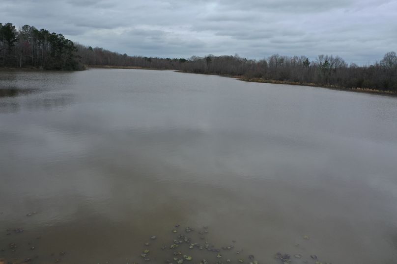 D33C7E7A-B596-4AD2-8F34-3DB95B1C5FAF