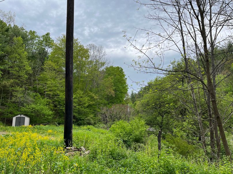 Tioga_18.72_Coulson Photo 46