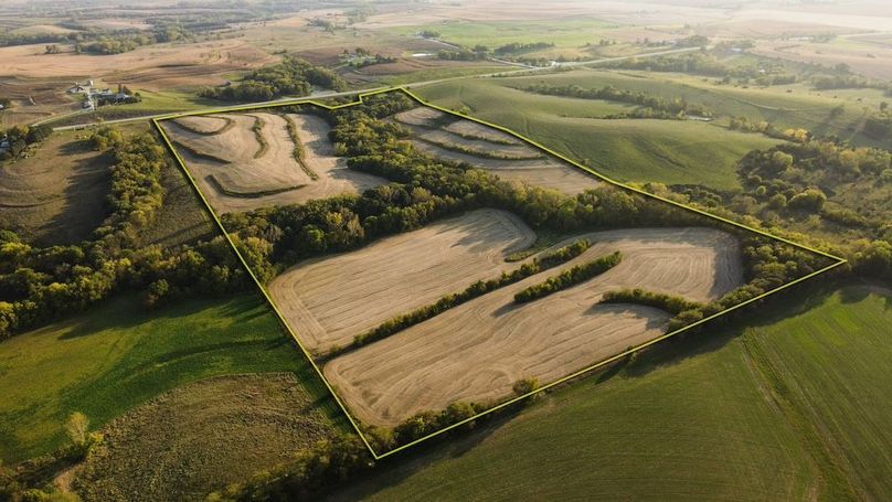 PAGE CO IA 80.31_3 OUTLINE