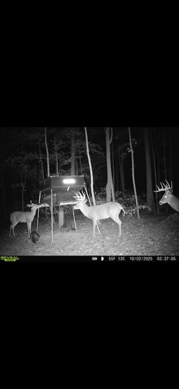 Screenshot 2026-02-09 at 3.26.43 PM