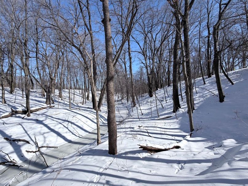 2.Copy of Tract 5 SW Corner Creekbottom 2 Large