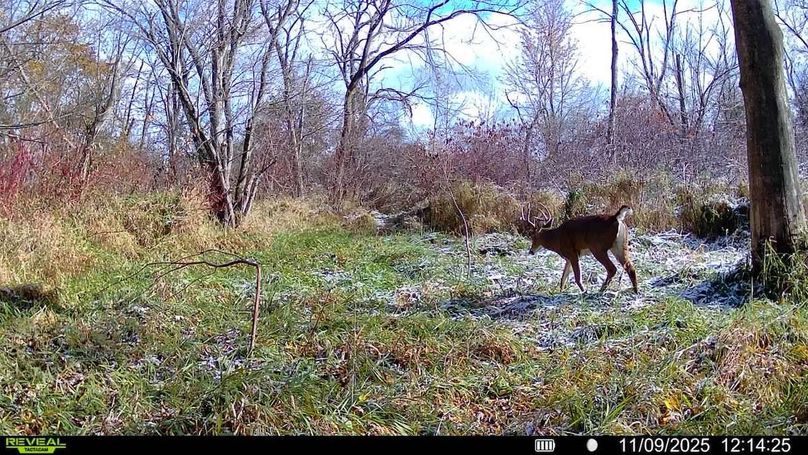 016579008159910-100-4-11092025121425-SYFW00340