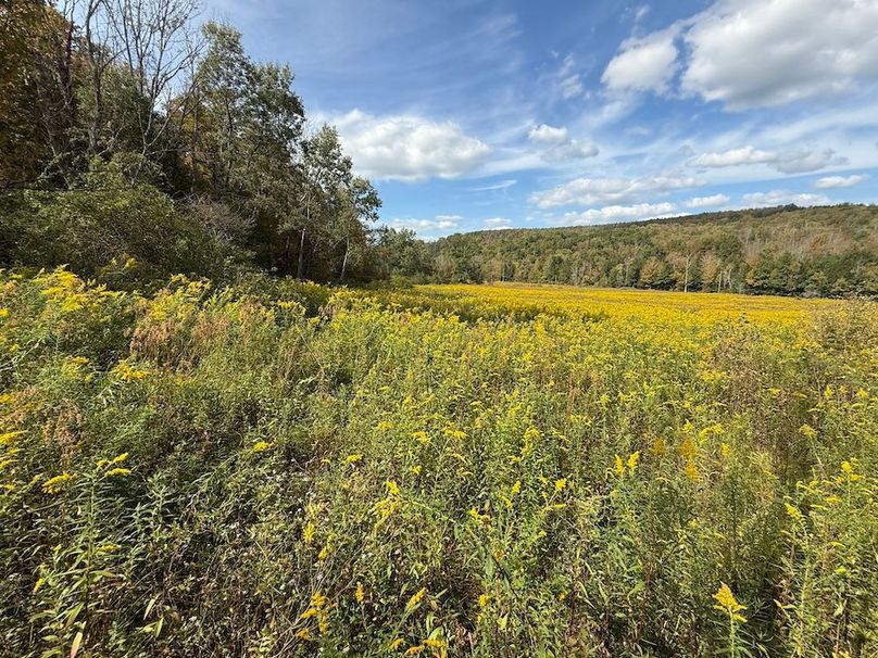 Tioga_30_Flanner Photo 11