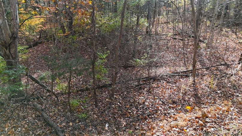 DJI_20251113133316_0687_D