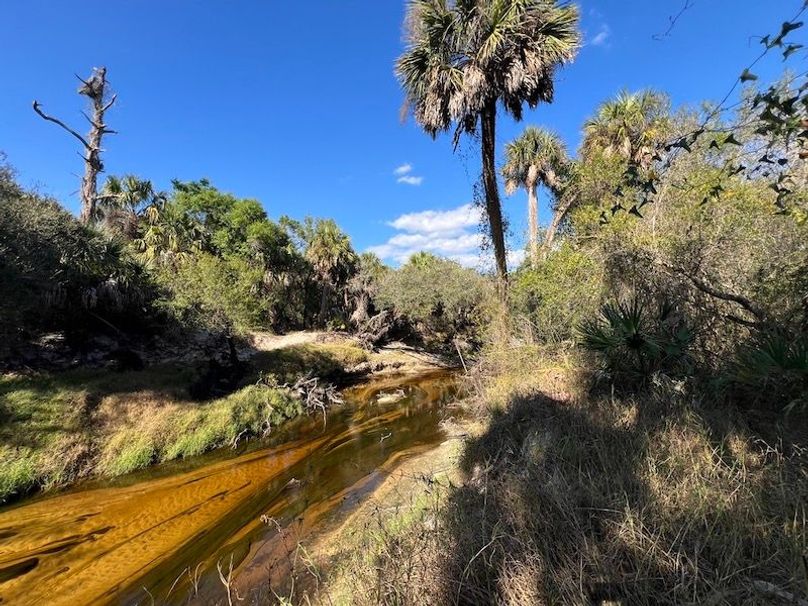 457E684D-20F6-4048-BA0D-ED2AFBAEFE49_1_105_c