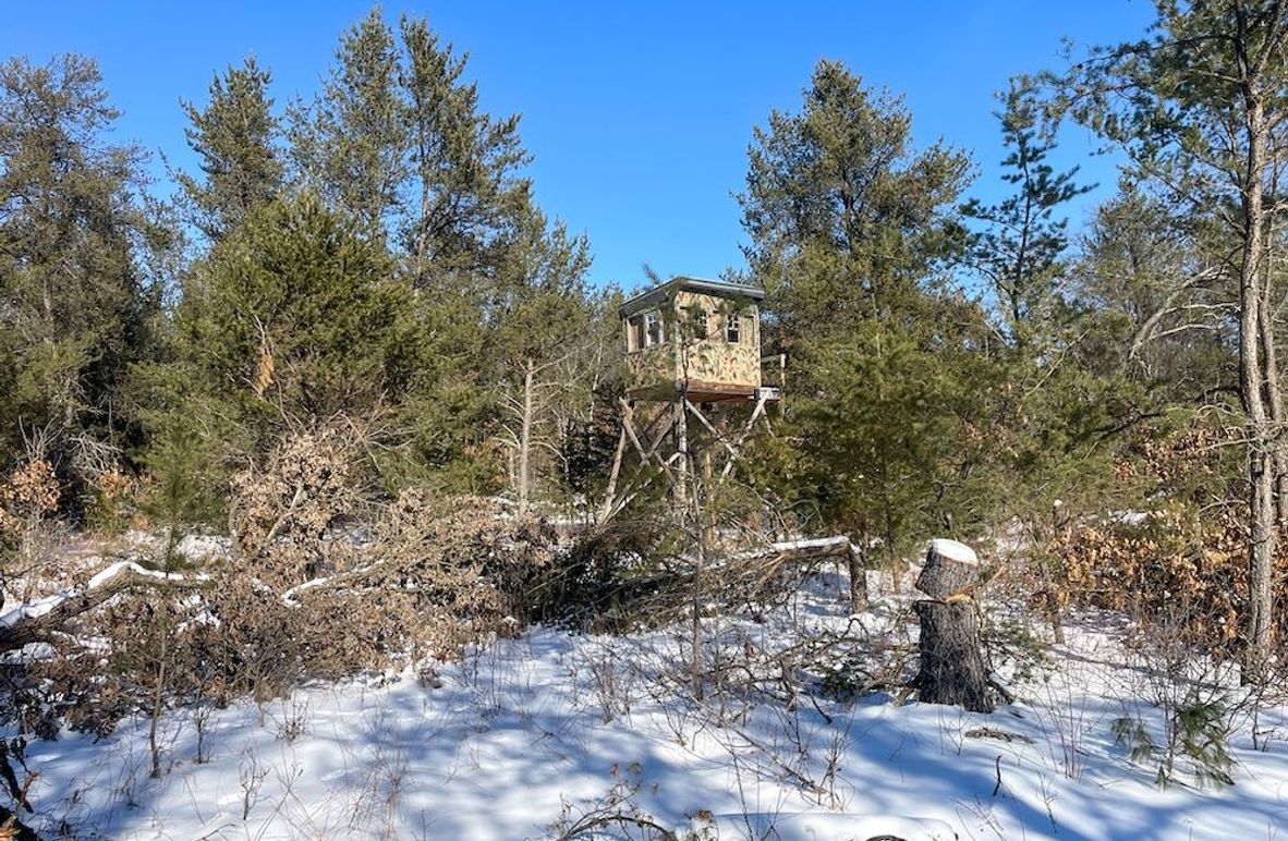 Adams 25, Nessler -03