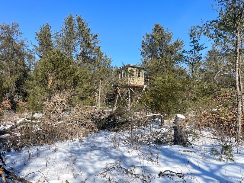 Adams 25, Nessler -03