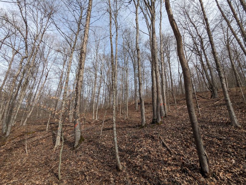 PXL_20230213_163656566