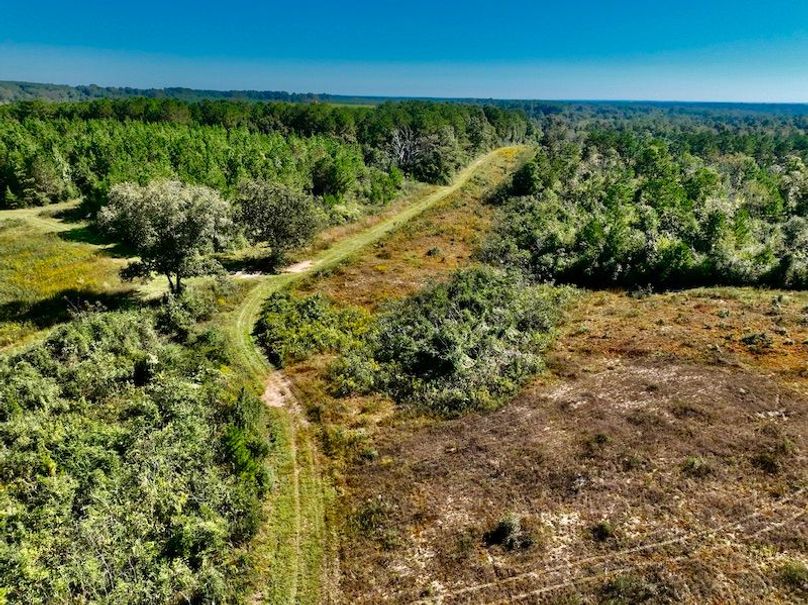 EB41CB21-91D5-43B5-A796-776137A89B43_1_201_a