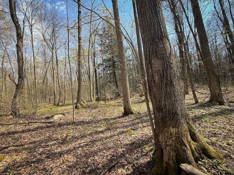 Cayuga_23.5_Demott_photos_22