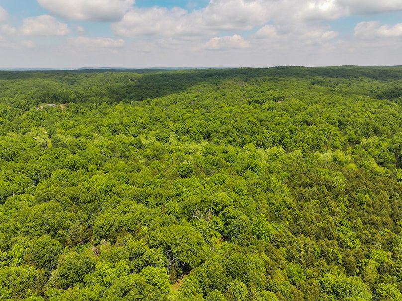 DJI_20240515141041_0039_D