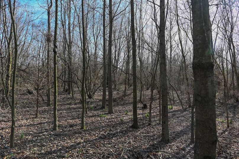 vandalia 450 (2)-1716