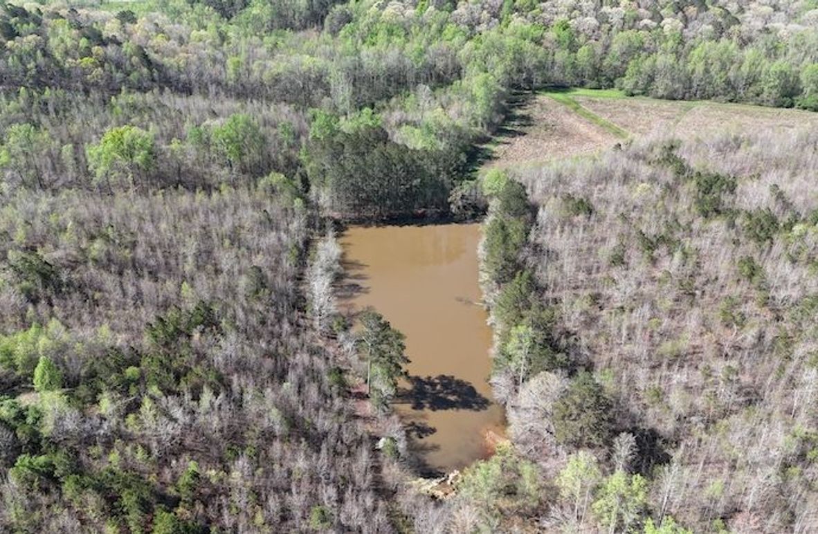 DJI_20250408110019_0100_D