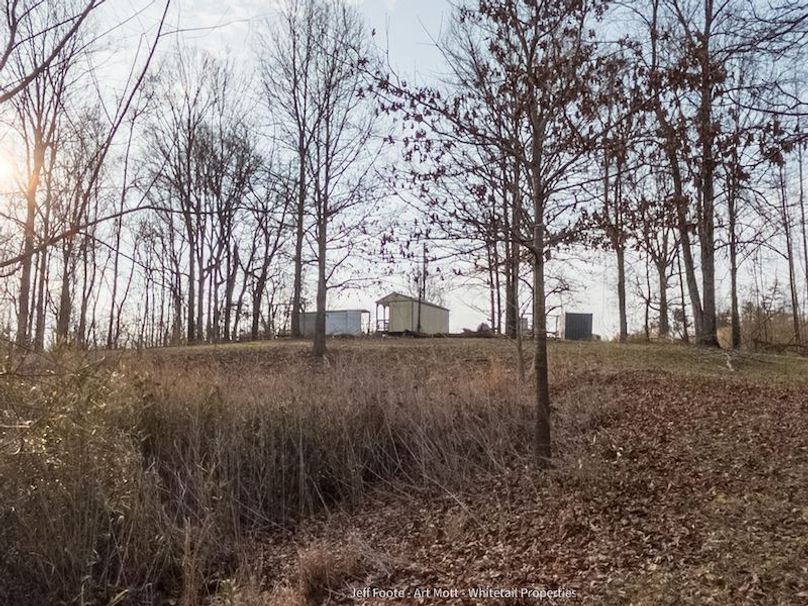 Holmes County - 108 - Rodriguez-11