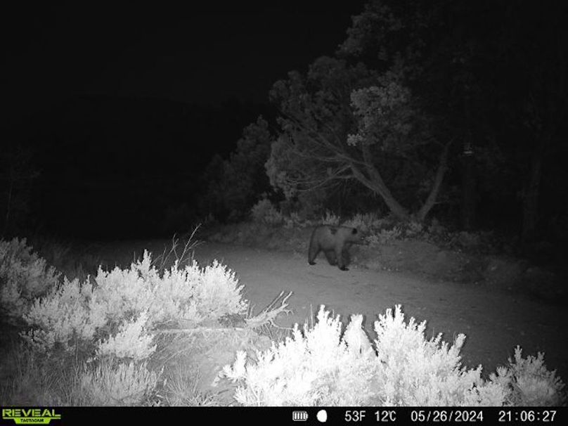 860516060102641-100-2-05262024210626-V-W1000110