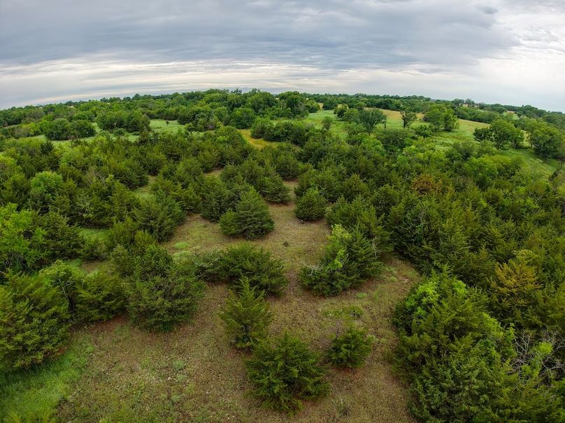 DJI_20250630073239_0336_D