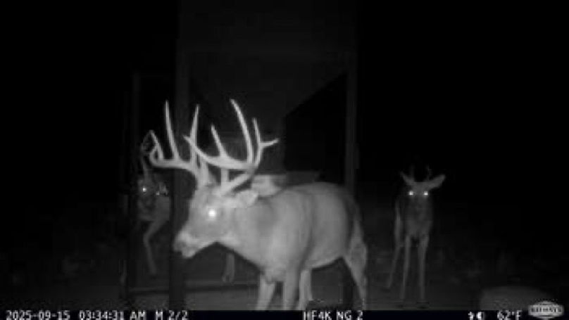 c76dc83ccda9861151611d8272a621fb-small