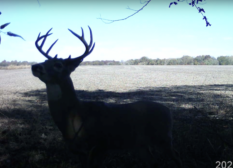 Screen Shot 2024-01-22 at 6.01.59 AM