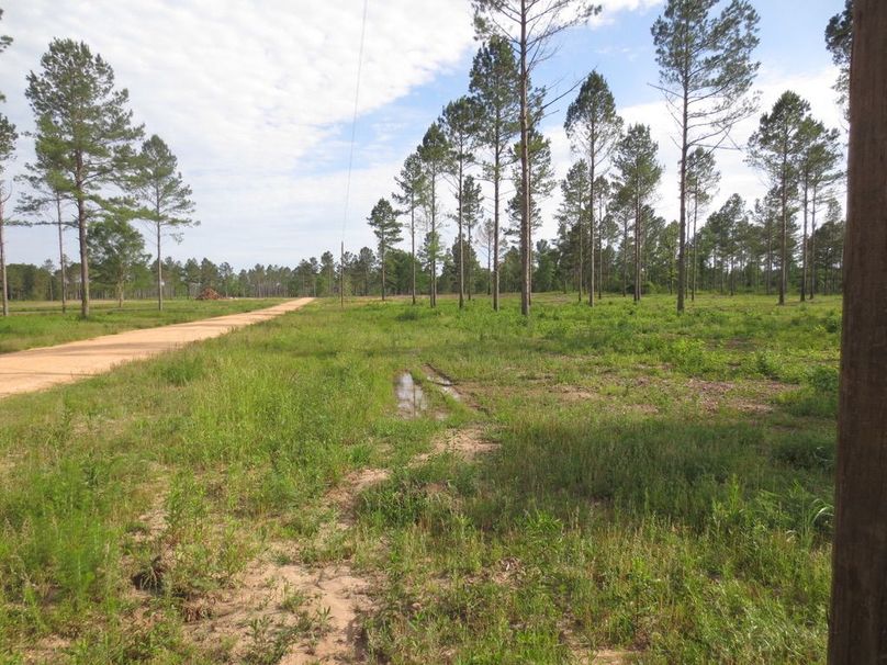 BB45DBD8-ECF6-4028-8035-0172B58A67C3_1_105_c