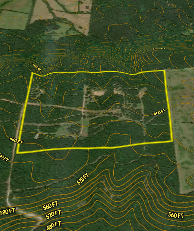 Screen Shot 2024-03-06 at 11.44.50 AM