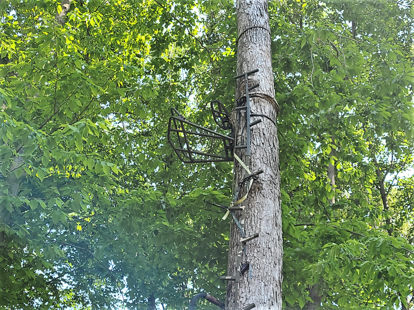 26.48ac_McKenneyLn_QAnnes_30