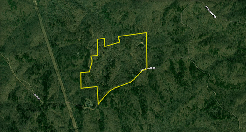 Screenshot 2025-07-09 at 4.26.25 PM