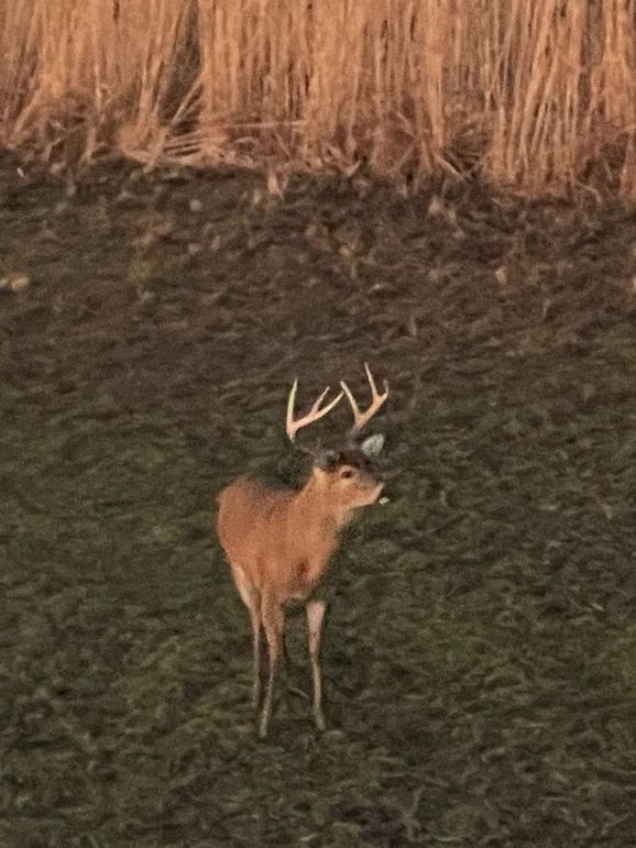 41794A52-0218-42A1-87F6-8800700A9AAF