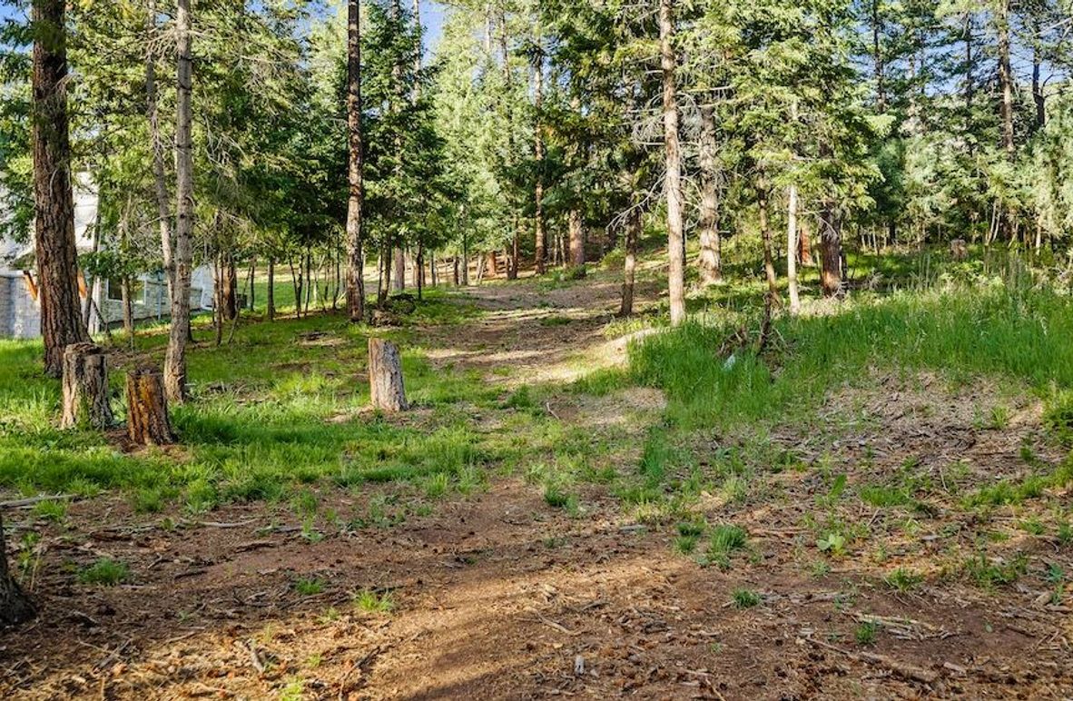 04 - Driveway