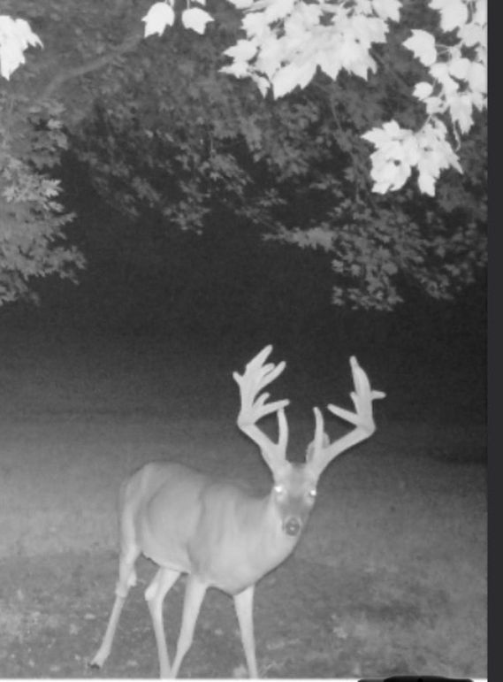 3BF8D9FF-0BC2-43B2-9EC8-A0A05D8BC8C1