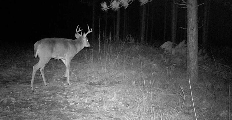 25112018134801000912 (1)