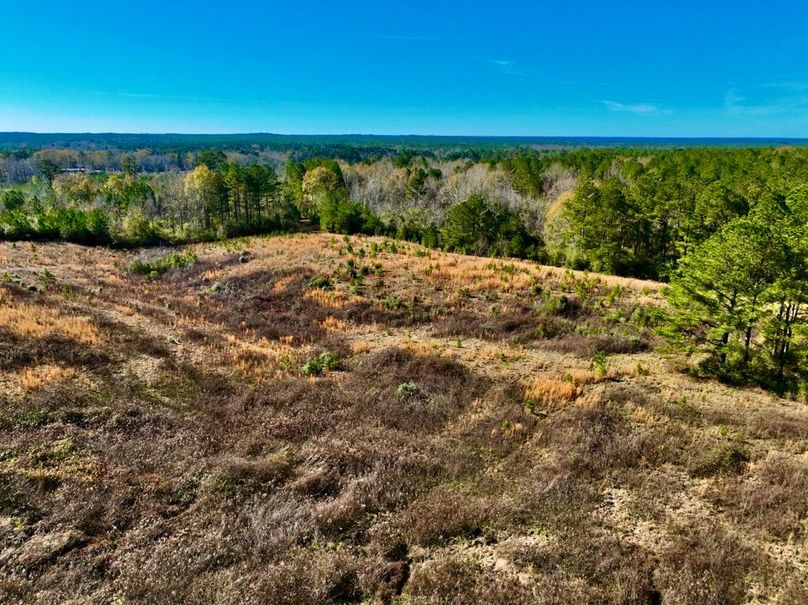 4023477E-0EE7-4AEC-ABB9-63678F856EB1_1_201_a-2