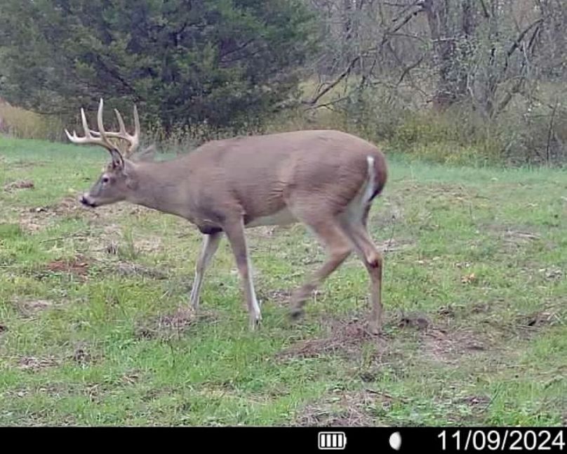 016579001820914-100-4-11092024154520-SYFW01347