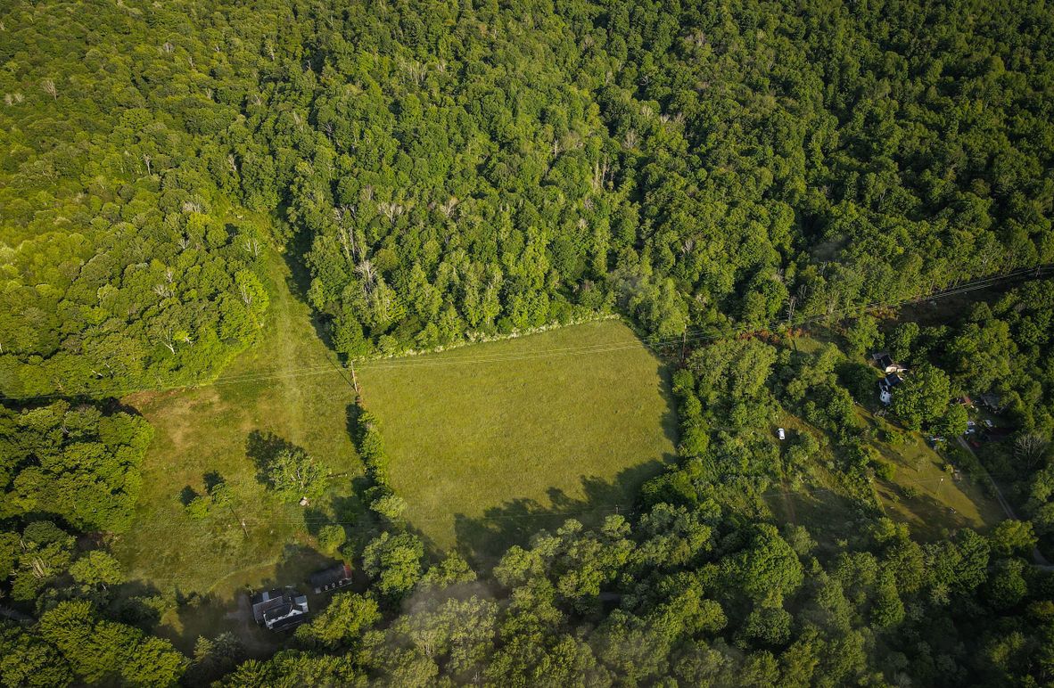 dji_fly_20230615_075750_727_1686830281368_photo