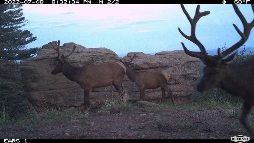 Copy of MBL_0057_7158884697996