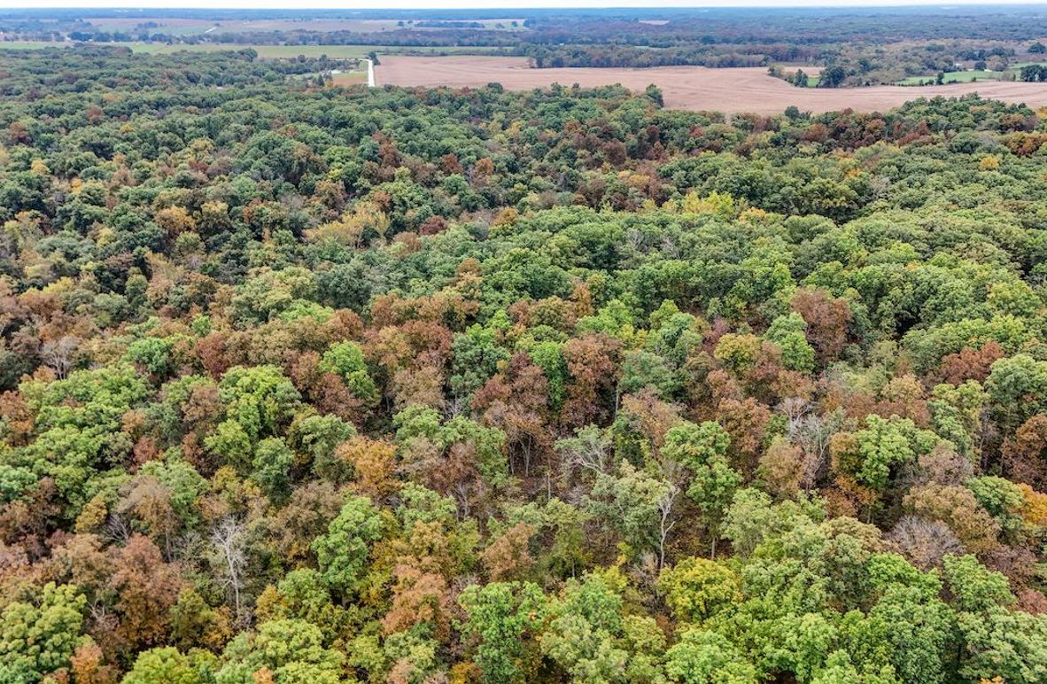 DJI_20251016093620_0076_D