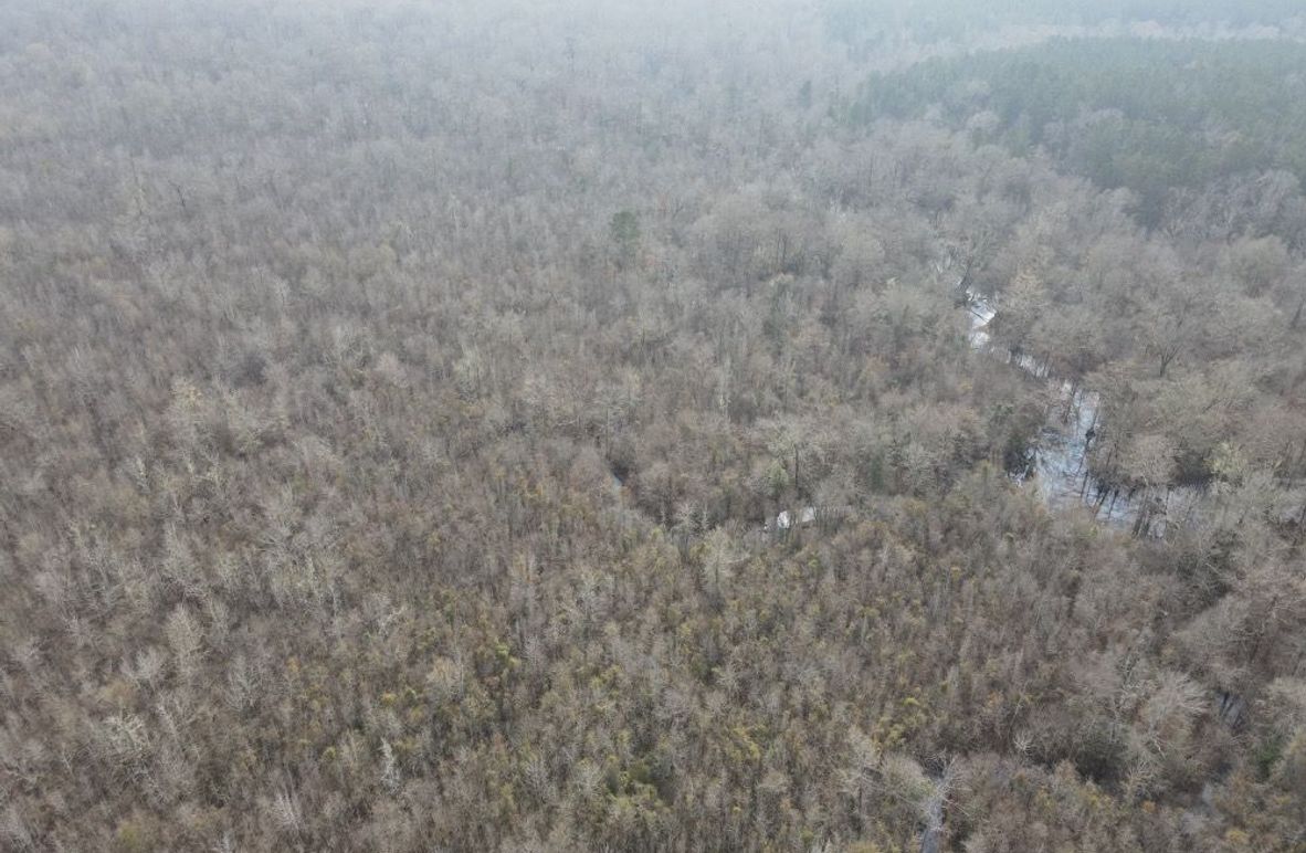 dji_fly_20260109_133020_795_1767987374530_photo