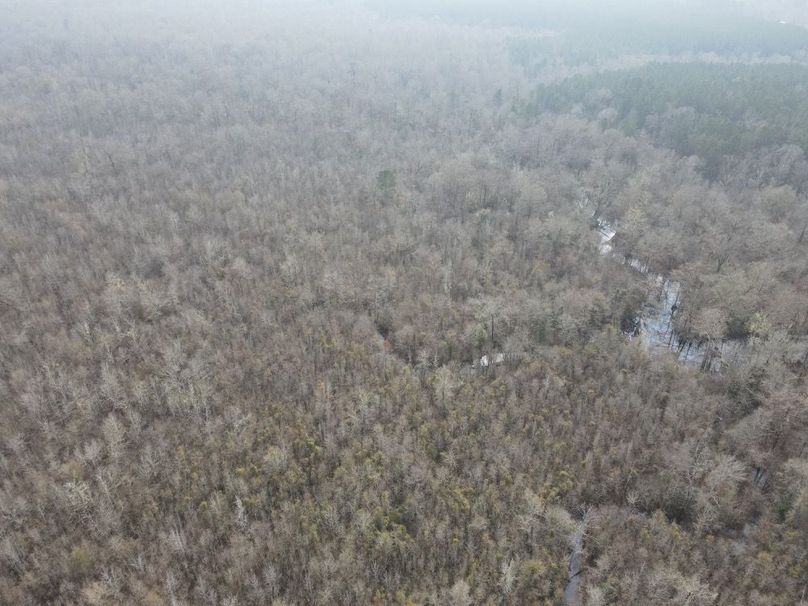 dji_fly_20260109_133020_795_1767987374530_photo