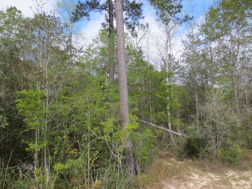 C16BA4EE-A44F-43AA-BB1C-2A4617BCEDF4_1_105_c