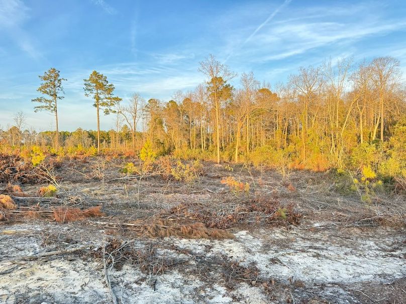 DB413B6B-D0D8-4B0C-9DC4-9A74F31032F0