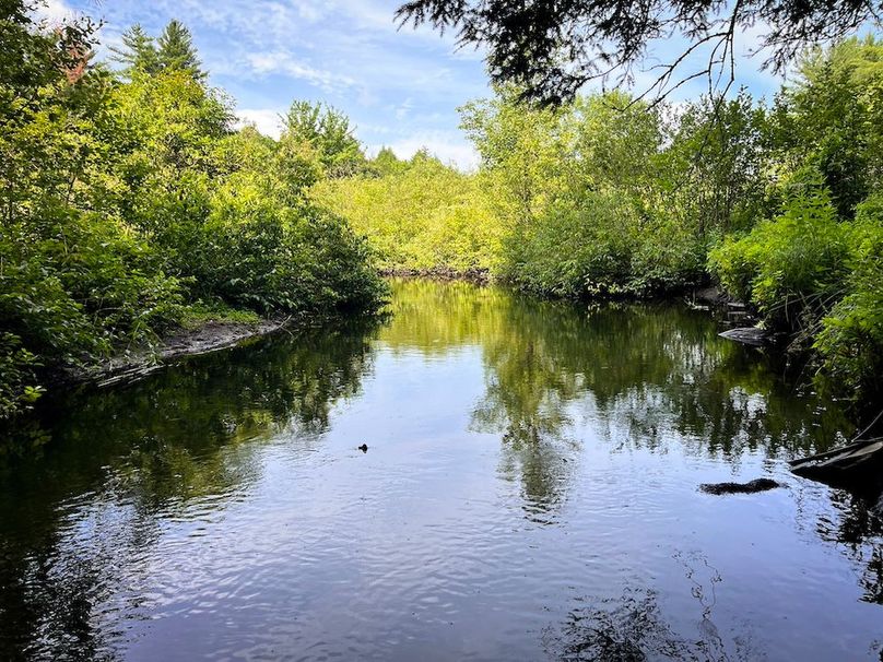 Oswego_47.53_Jarvis_Photos_28