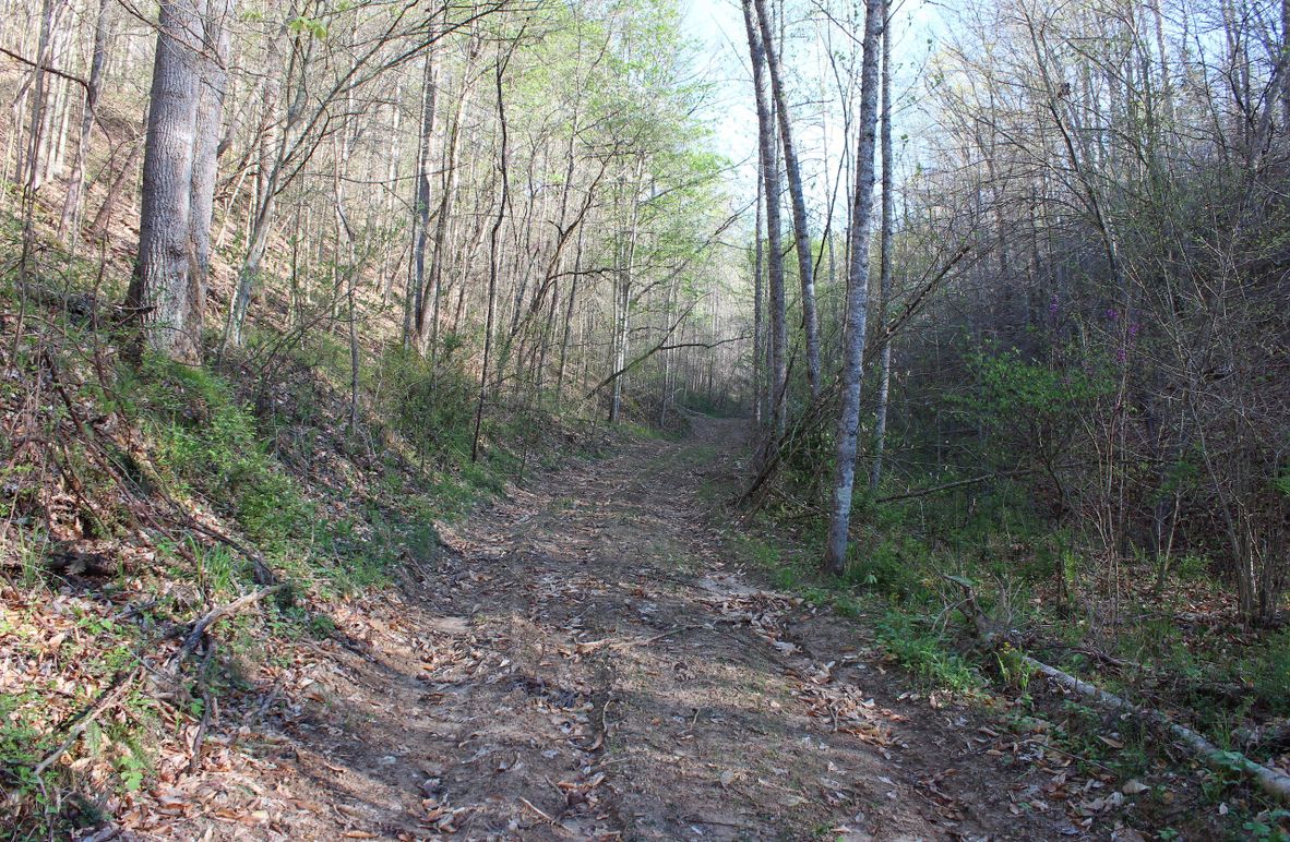 005 internal road leading up the west valley