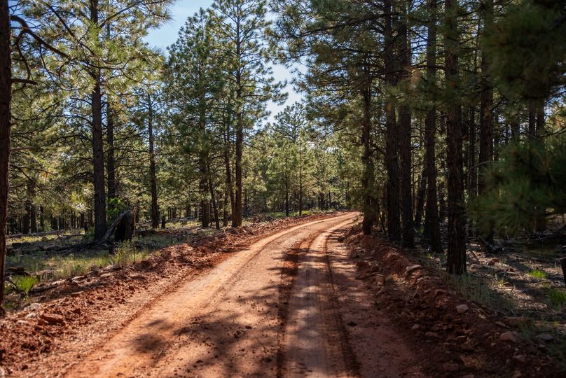 Cibola NM 13,053--81